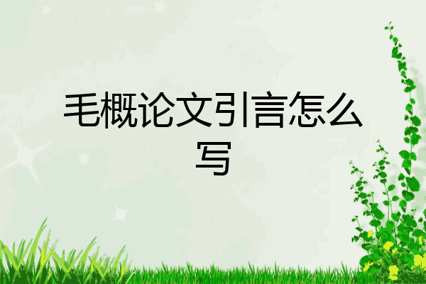 引言怎么写 范文 毛概论文引言怎么写