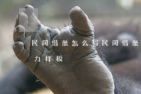 民间借条怎么写(民间借条怎么写才有法律效力样板)